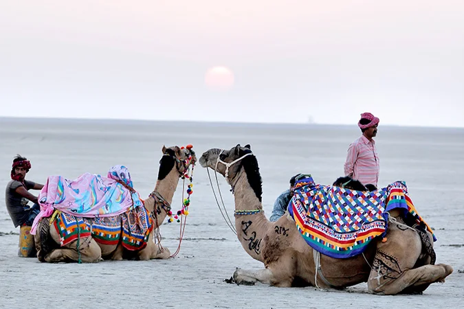 Rann of Kutch Desert Tour