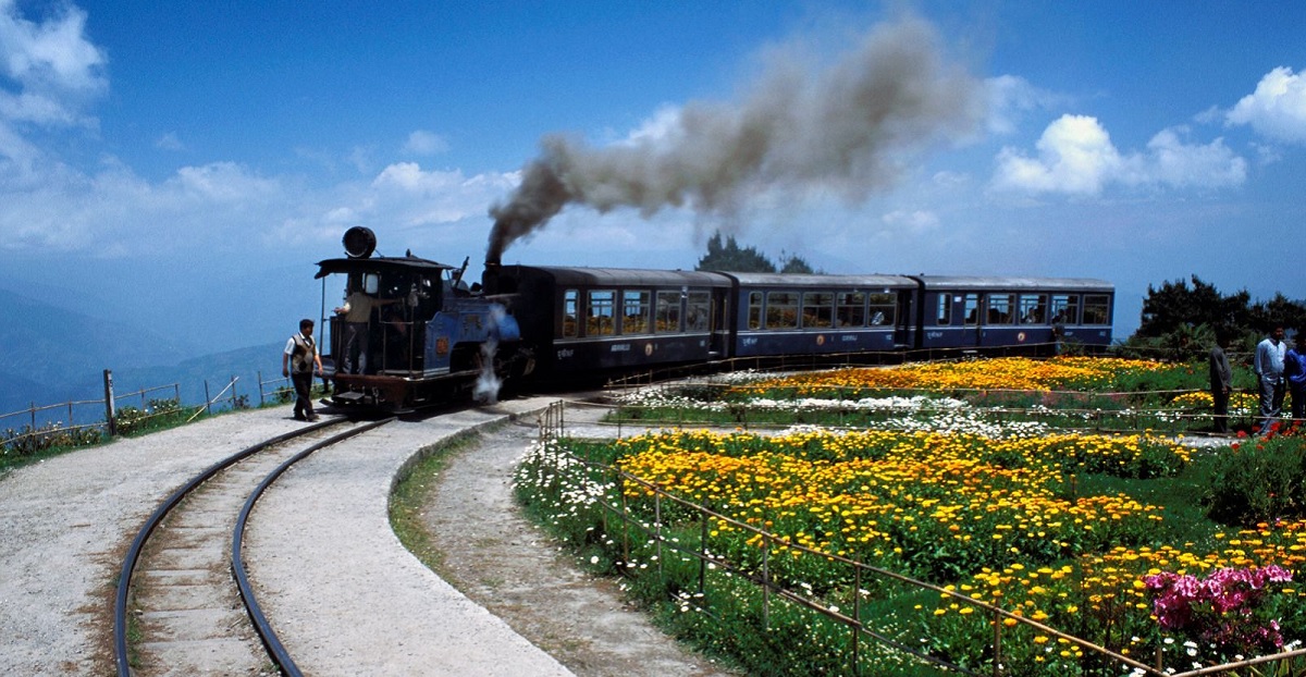 Darjeeling Himalayan Charm