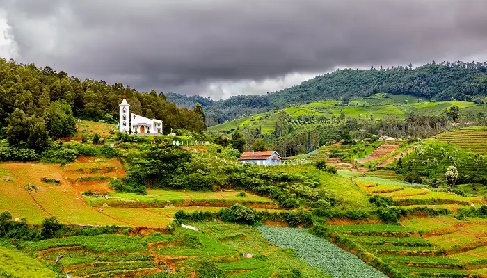 Ooty & Kodaikanal Hills