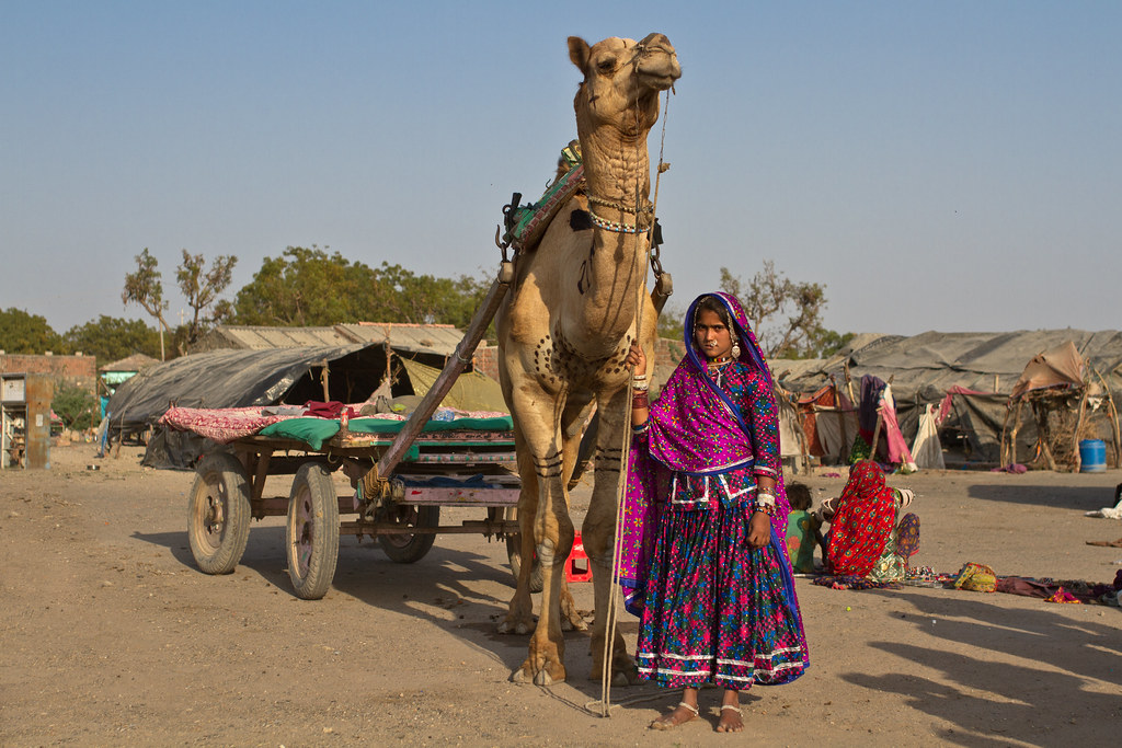 Rann of Kutch Youth Camp